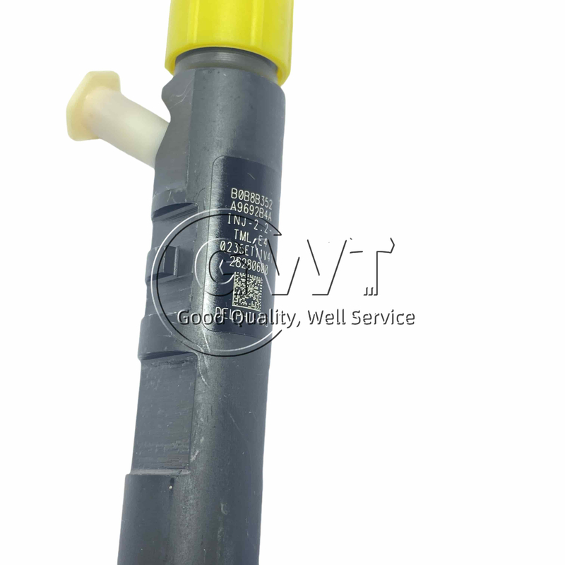 Delphi Diesel Fuel Injector 28280600 R04901D