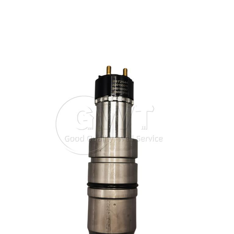 2872544 2872544rx 2872544nx 2872544px Common Rail Diesel Fuel Injector for Cummins Engine 