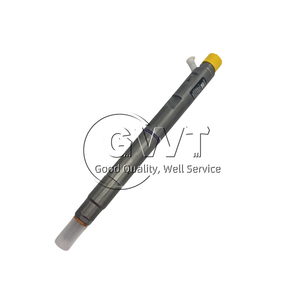 B05502A Common Rail Diesel Fuel Injector 320/06838