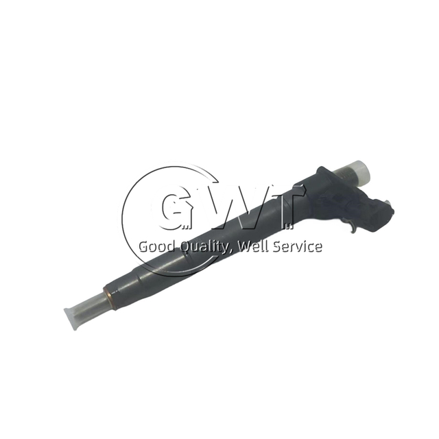 0445116073 0445116043 0986435423 BOSCH Common Rail Diesel Fuel Injector For JAGUAR,LAND ROVER GROUP,PSA,ROVER