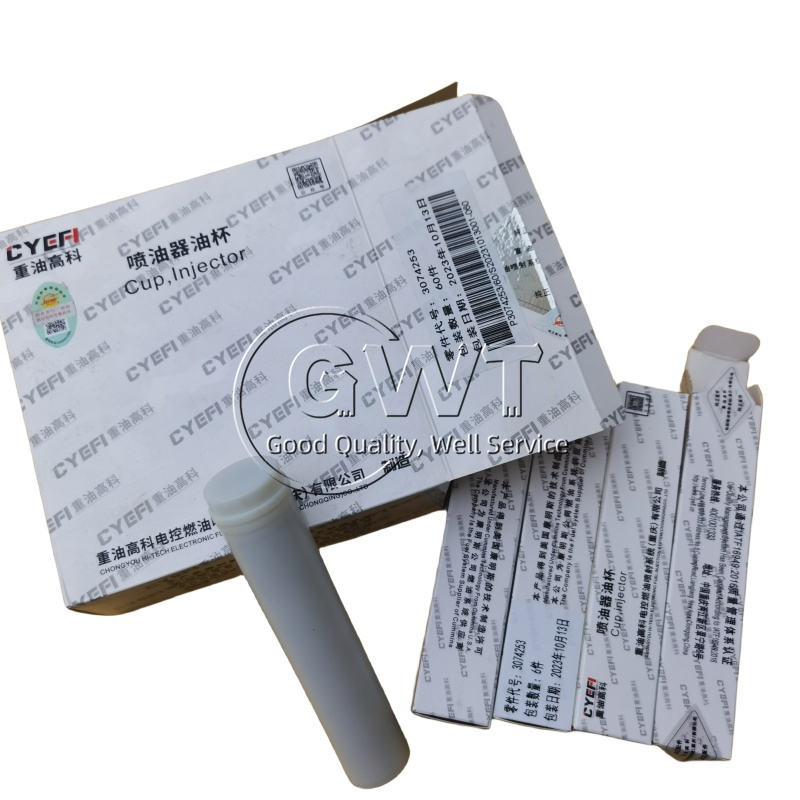 3074253 Injector Nozzle Cup For Cummins Diesel Engine