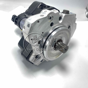 0445020081 High Pressure Pump 0445020089 Common Rail Pump 10117814