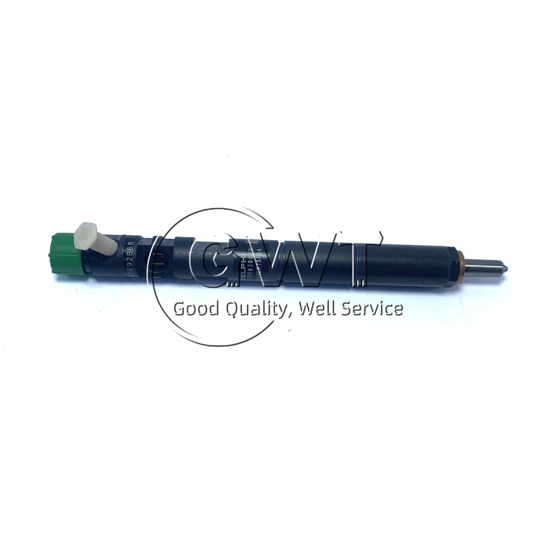 R03001D DELPHI Common Rail Diesel Fuel Injector For KIA 33800-4X900