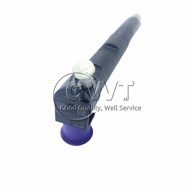 Delphi Diesel Fuel Injector 28581266