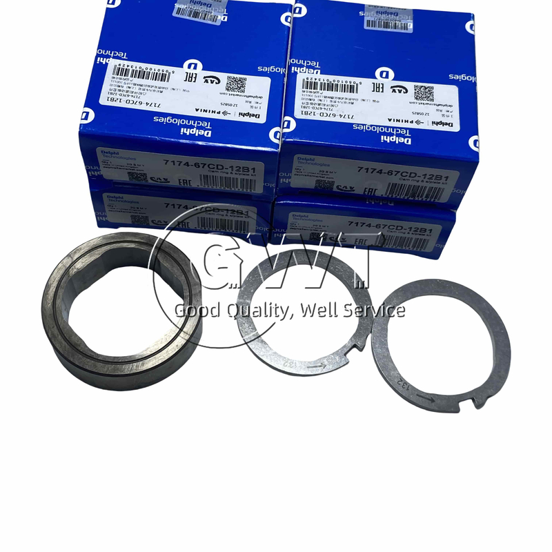 Delphi Cam Ring And Scroll Plate Kit 7174-67Cd