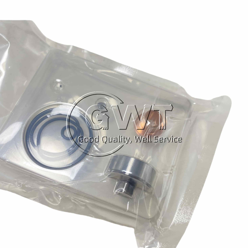 Control Valve Repair Kit for #2488244