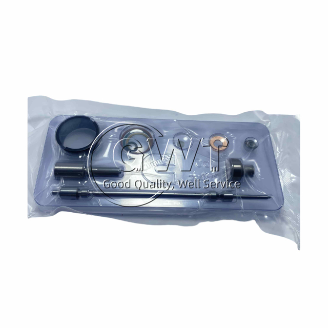 Repair Kits 5473254EF for Cummins ISG Injector