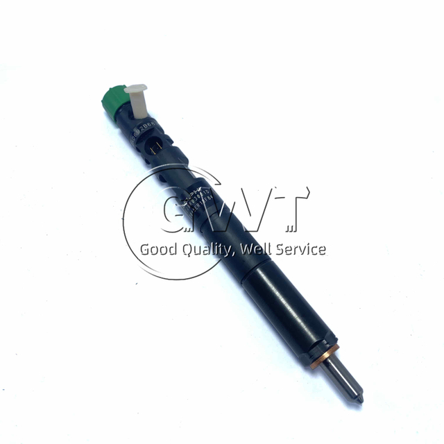 R03001D DELPHI Common Rail Diesel Fuel Injector For KIA 33800-4X900