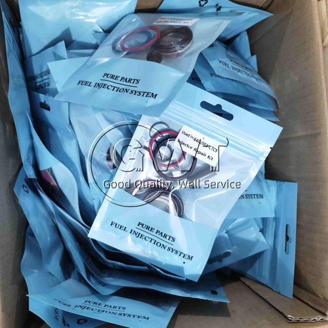 Injector Repair Kit Used in 6406003-C7C9